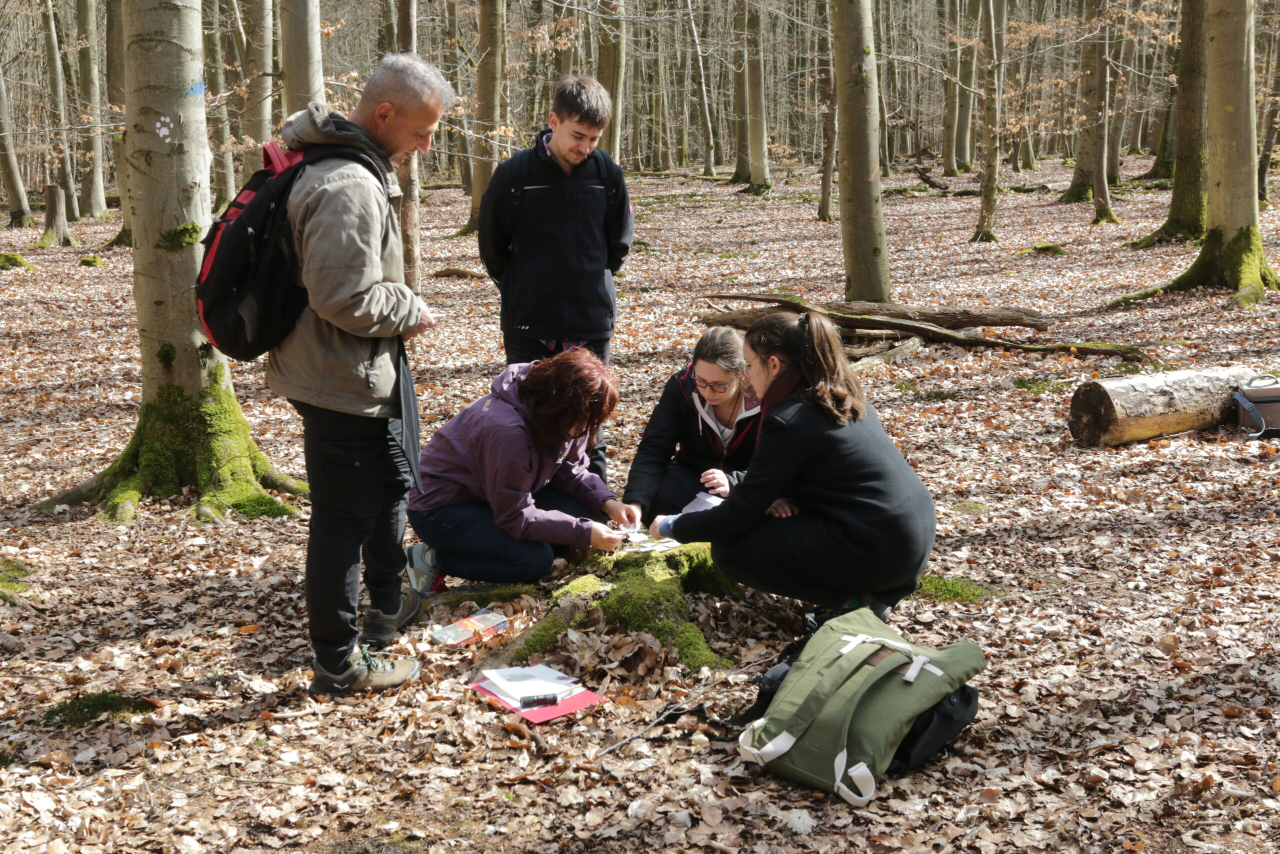 Nature Hunt – Rätselabenteuer im Wald rund um das Jagdschloss Kranichstein