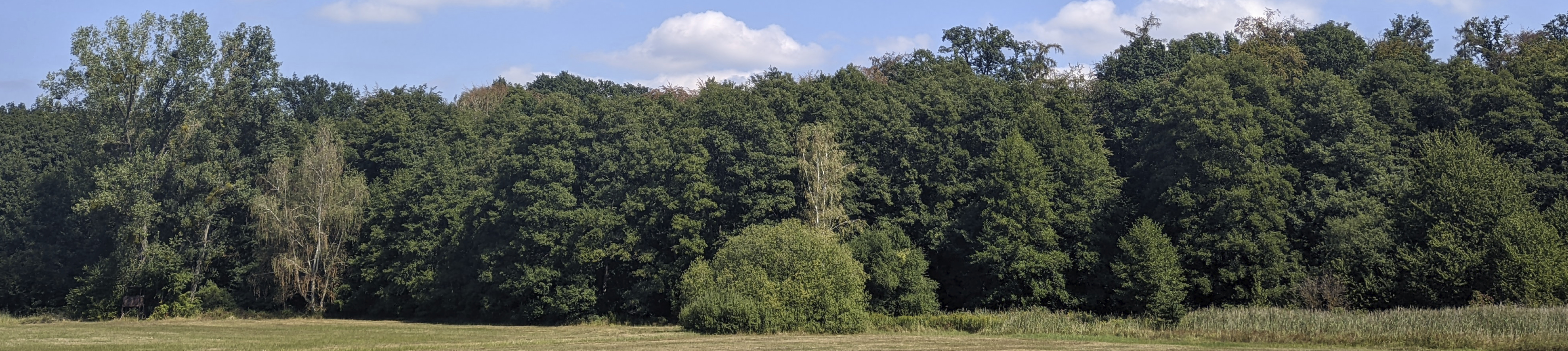Natur entdecken