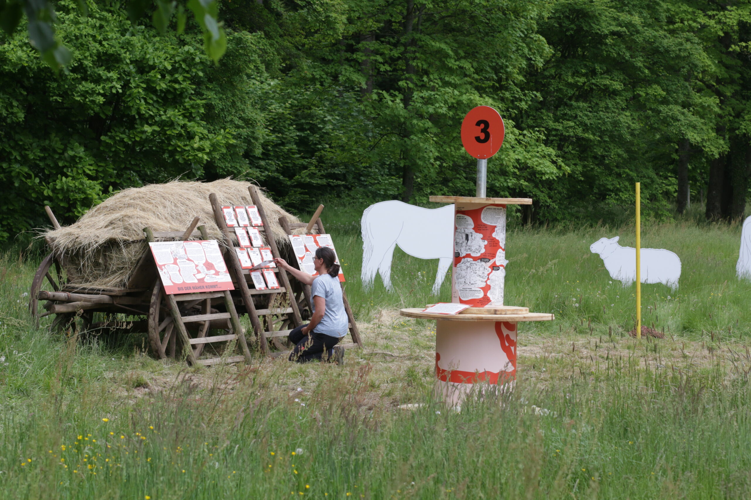 Besucherin erkundet eine Mitmachstation mit historischem Heuwagen, Informationstafeln und weißen Tiersilhouetten auf einer Wiese im Schlosspark Jagdschloss Kranichstein in Darmstadt.